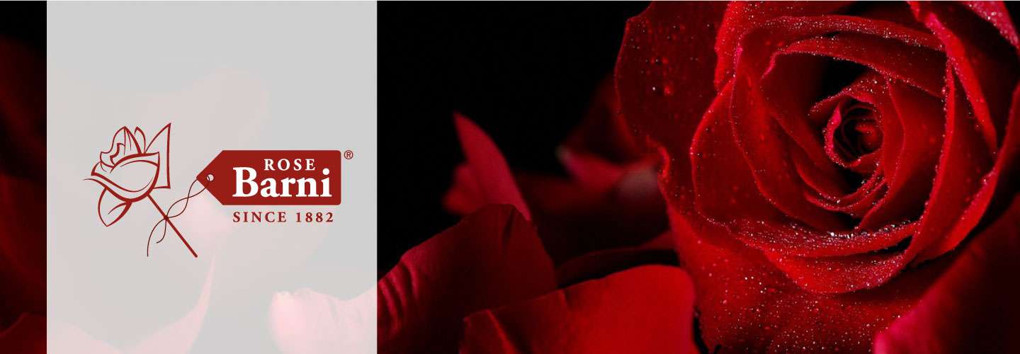atmadesign-barni